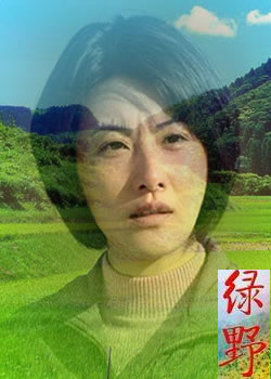 dvd-201103/5/e66a0c17-cce4-4a36-86c5-8e52efe724c5.jpg