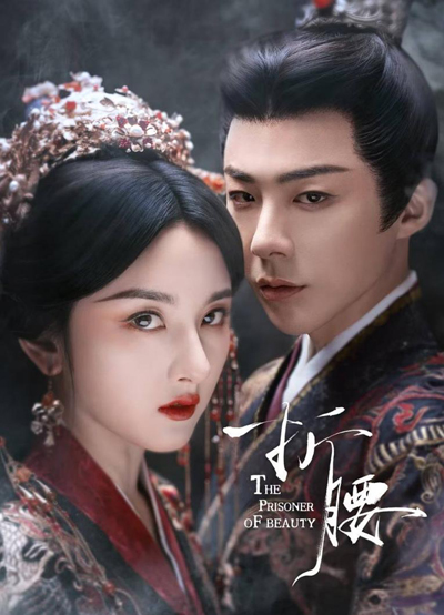 dvd-202506/3/a711b3c7-7fe4-4030-8871-effbb5e7d2a9.jpg