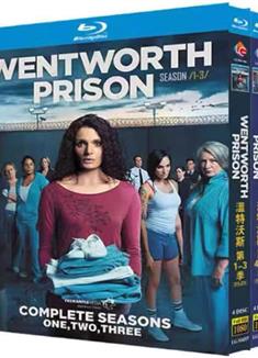 溫特沃斯第1-9季/Wentworth Season 1-9