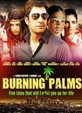 燃燒的棕櫚/燃燒的手掌Burning Palms 