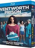 溫特沃斯第1-9季/Wentworth Season 1-9